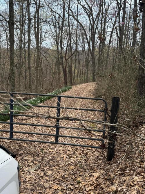 0 Bellia Rd, Laurelville, OH, 43135 | Card Image