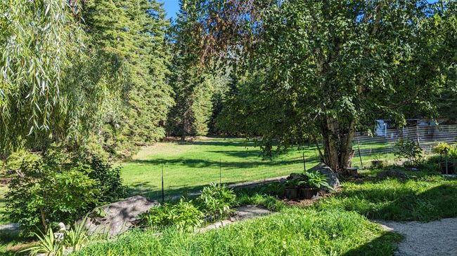 Lush Yard | Image 8