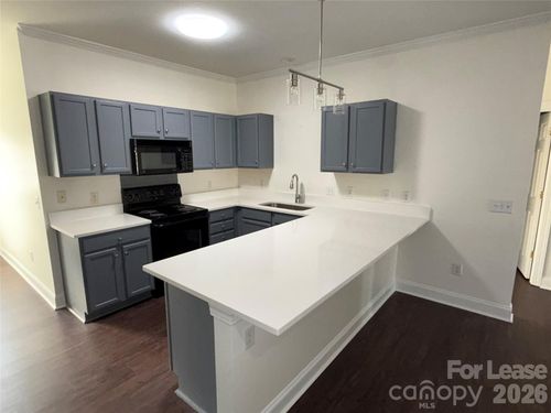 19925 Weeping Water Run, Cornelius, NC, 28031-8429 | Card Image