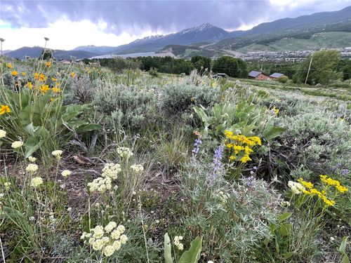 371 Z Rd, Silverthorne, CO, 80498 | Card Image