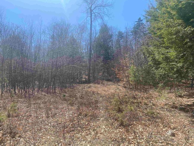 0 Teela Drive, Home with 0 bedrooms, 0 bathrooms and null parking in Sullivan NH | Image 5