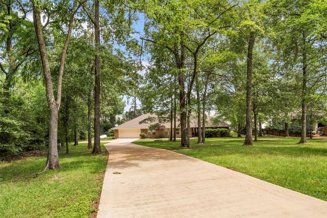 Beautiful mature trees create privacy and a serene front yard setting | Image 5