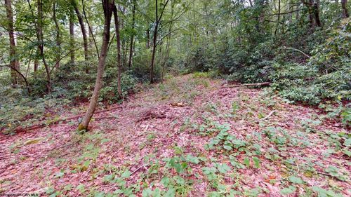 LOT 103 Redwood Drive, Terra Alta, WV, 26764 | Card Image