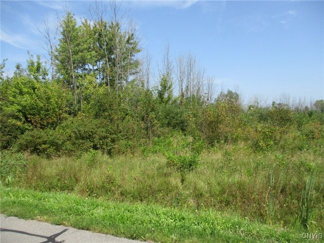 2 Hitchcock Point Road, Home with 0 bedrooms, 0 bathrooms and null parking in Sullivan NY | Image 8