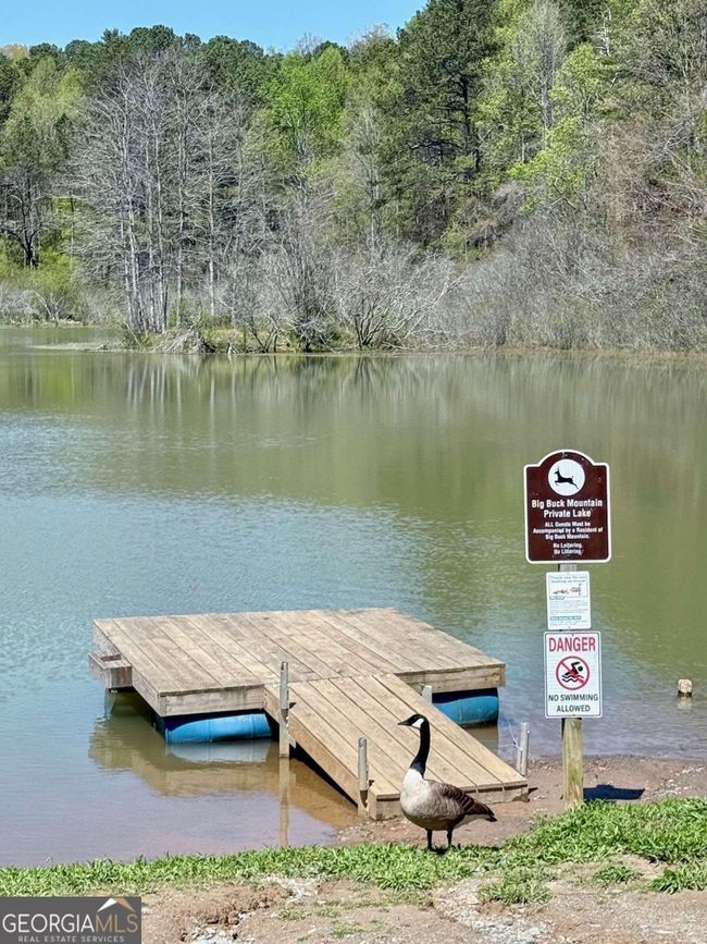 751752 - LOT 751 Morton Dr, Home with 0 bedrooms, 0 bathrooms and null parking in Ellijay GA | Image 9