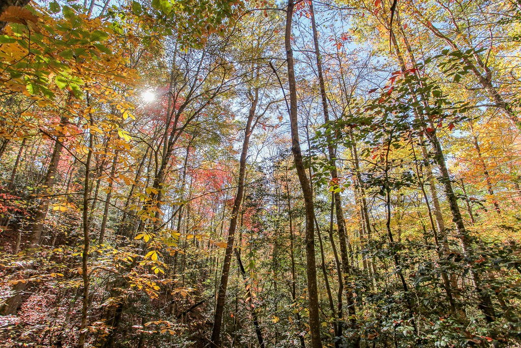 Land in Bryson City 4