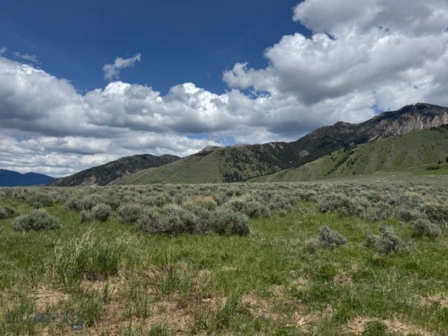 77 Gvt Lot 6 Final Legal Tbd, Home with 0 bedrooms, 0 bathrooms and null parking in Cameron MT | Image 5