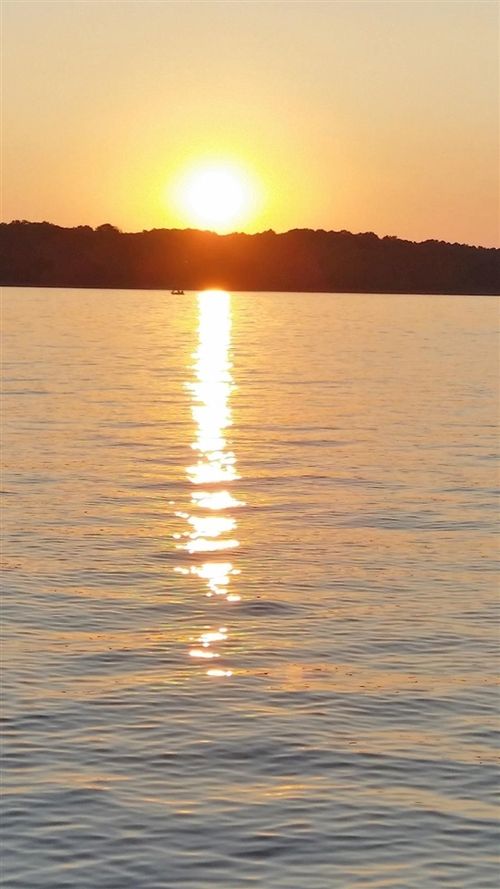 lot-20-447 Lake Ridge Rd, Scottsville, KY, 42164-6429 | Card Image