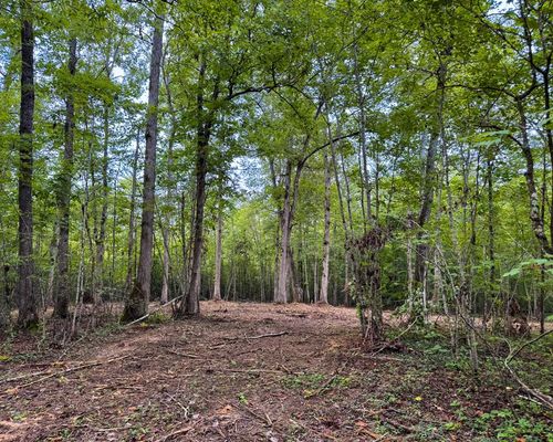 Tract 7 Sheep Ranch Rd, Robbins, TN, 37852 | Card Image