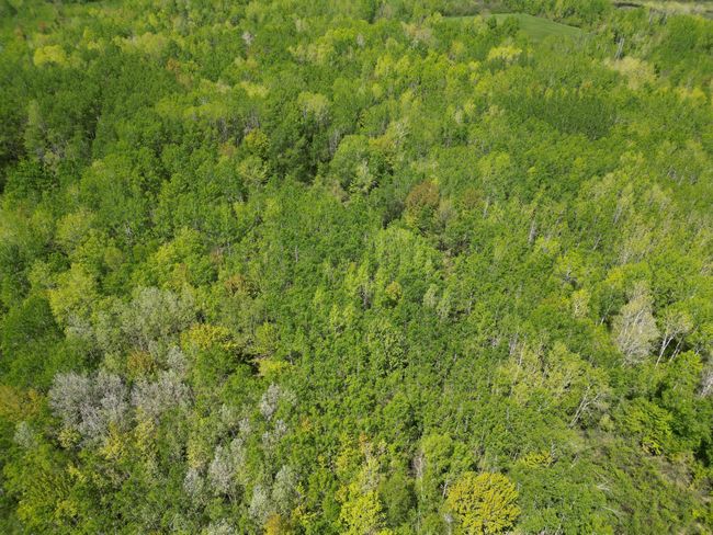 6920 Reed Ln, Home with 0 bedrooms, 0 bathrooms and null parking in Kettle River MN | Image 17