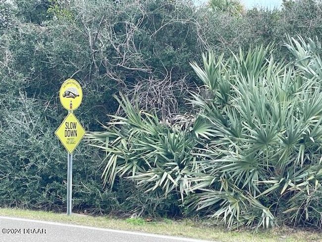 4415 S Atlantic Ave, Home with 0 bedrooms, 0 bathrooms and null parking in Ponce Inlet FL | Image 4