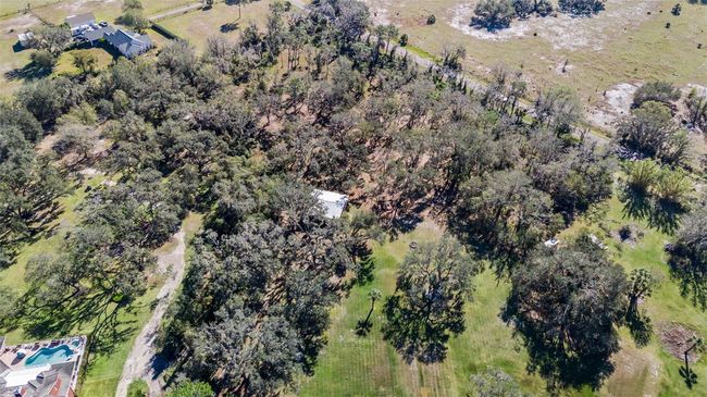 11518 Hammock Oaks Ct, House other with 4 bedrooms, 6 bathrooms and null parking in LITHIA FL | Image 53