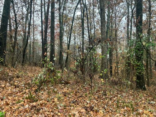 4 Timber Ridge Dr, Kimball, TN, 37347 | Card Image