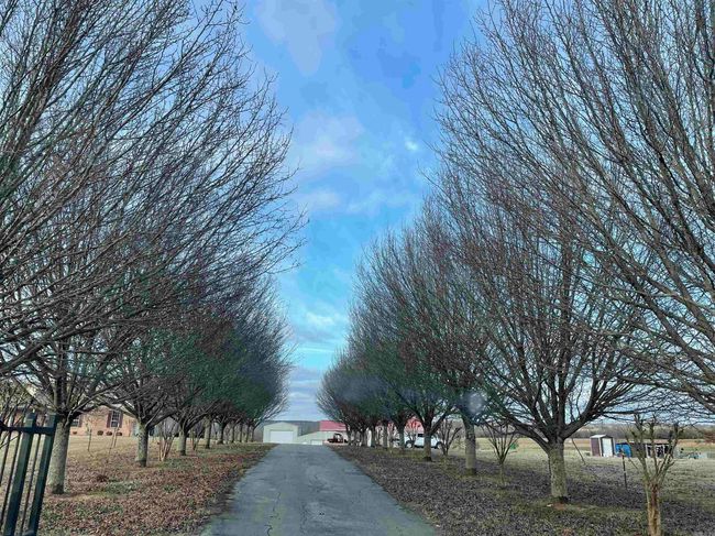571 Honeysuckle Rd, House other with 3 bedrooms, 3 bathrooms and null parking in Bald Knob AR | Image 46
