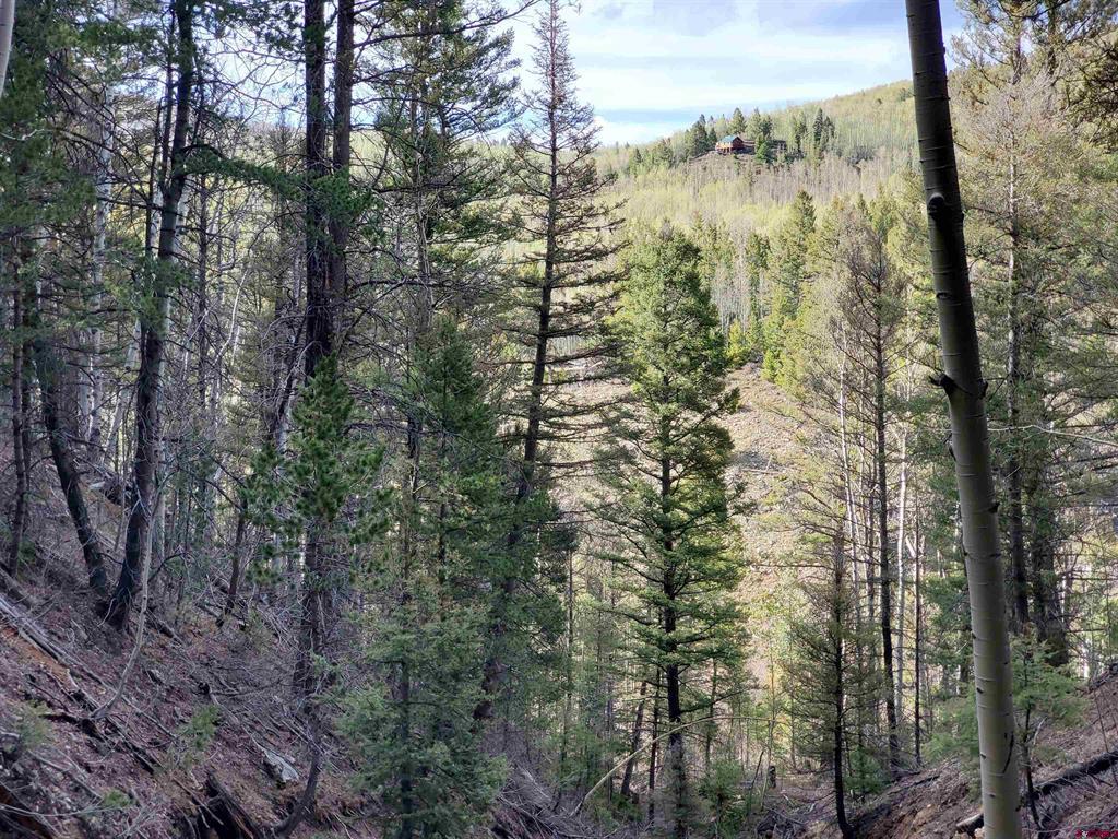 Land in Fort Garland 2