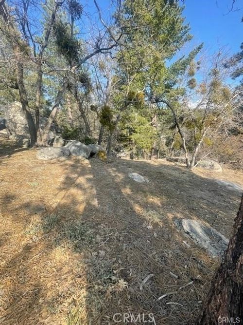 0 Forrest Dr, Running Springs, CA, 92382 | Card Image