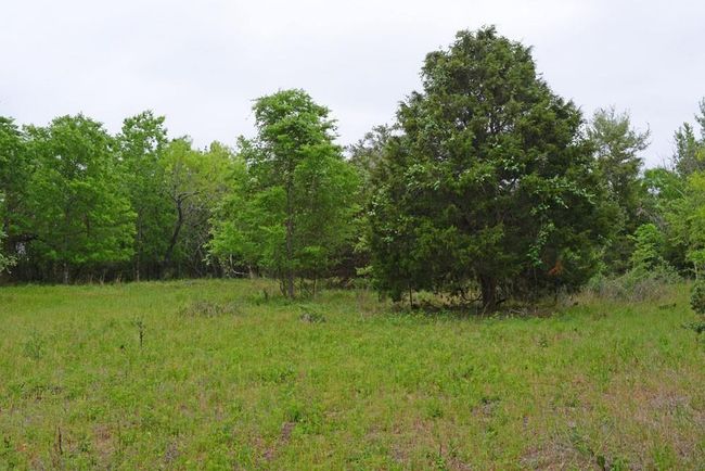 0B Fm 86, Home with 0 bedrooms, 0 bathrooms and null parking in Red Rock TX | Image 5