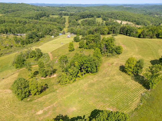688 Gibson Knob Rd, Home with 0 bedrooms, 0 bathrooms and null parking in Laurel Fork VA | Image 22
