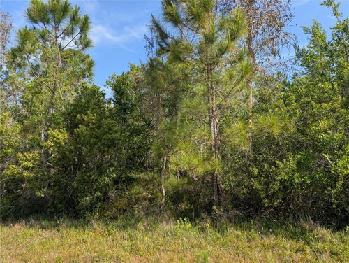 704 Orchid Dr, Indian Lake Estates, FL, 33855 | Card Image