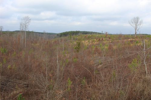 00 Rockport Mcillwain Rd, Holladay, TN, 38341 | Card Image