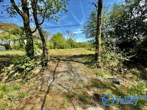 4117 Mat Morrow Road, Arab, AL, 35016 | Card Image