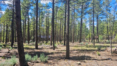234 Deer Run Rd, Lakeside, AZ, 85929 | Card Image