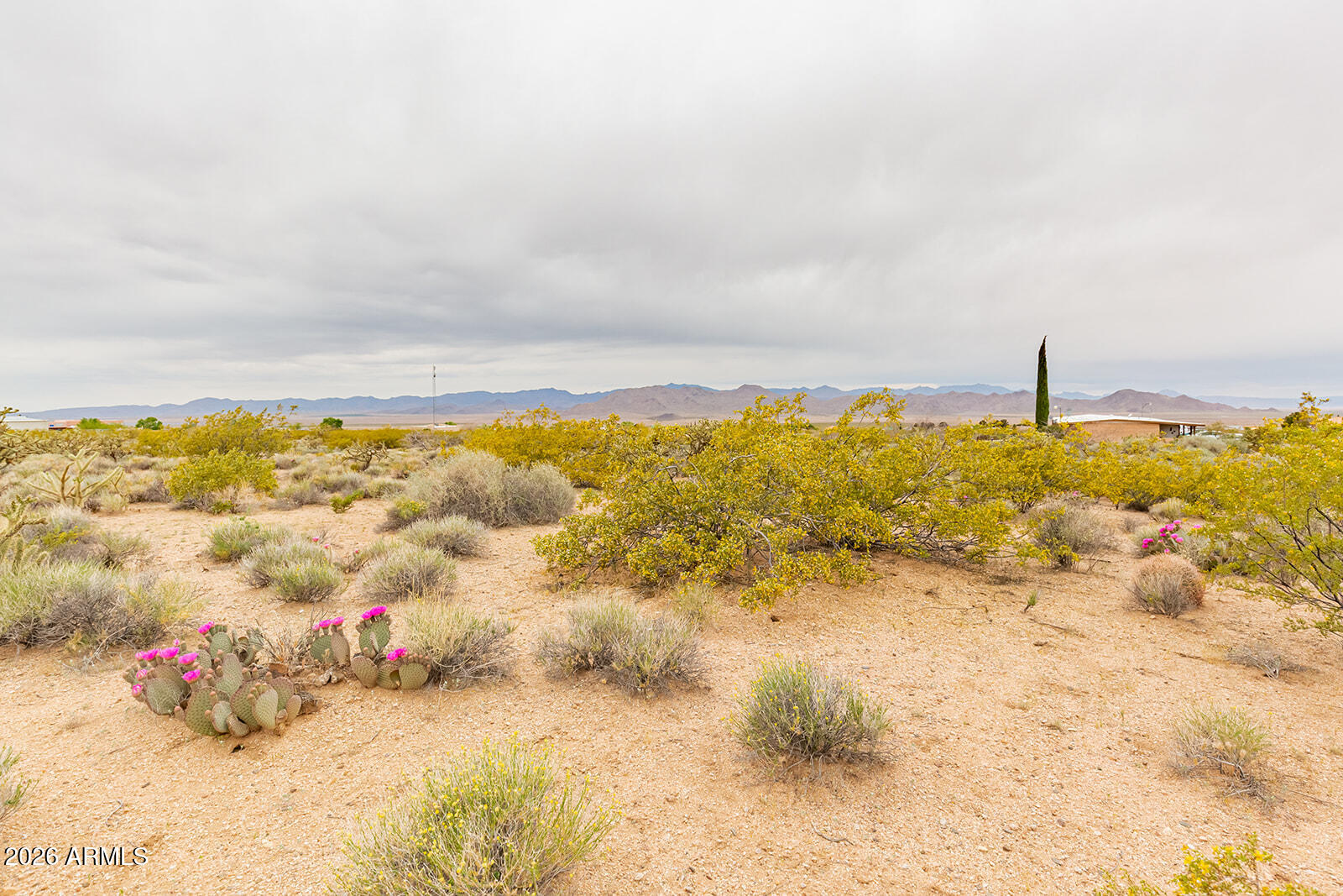 Land in Kingman