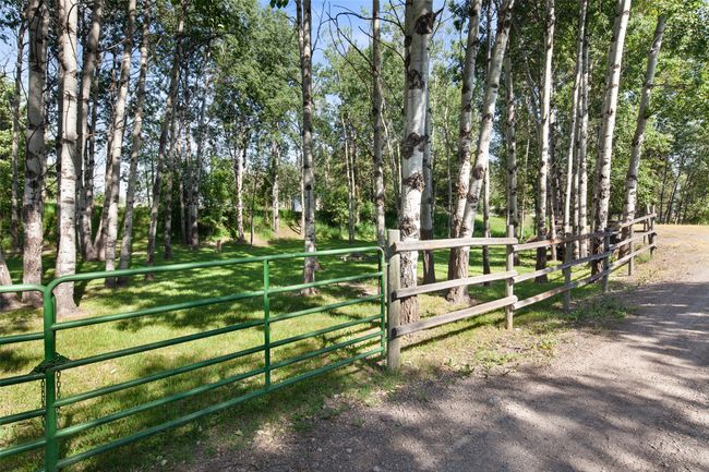 View of yard with a gate | Image 53