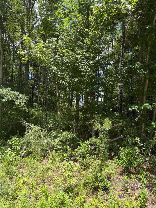 lot-224-0 University Dr, North Charleston, SC, 29418 | Card Image