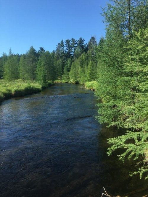 2317 Royce Haven Ave, Luzerne, MI, 48636-8781 | Card Image