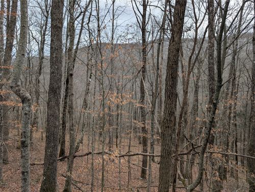 3 Black Gap Road, Franklin, NC, 28734 | Card Image