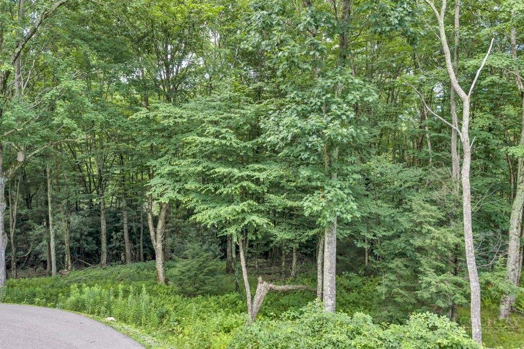 Land in Banner Elk 4