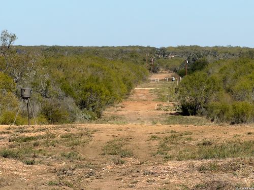 TBD Cr 2537/Moore Hollow Road, Moore, TX, 78057 | Card Image