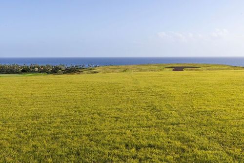 30 Halia Mai Pl, KOLOA, HI, 96756 | Card Image