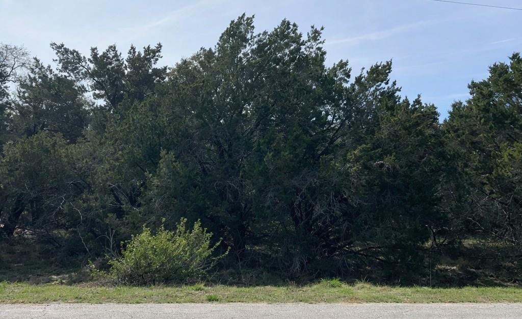 Land in Lago Vista 3