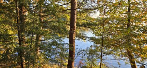 Lot 1 Bartsch Rd, Presque Isle, WI, 54557 | Card Image