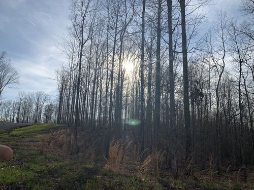 1385 Ridgewood Dr, Mc Ewen, TN, 37101 | Card Image