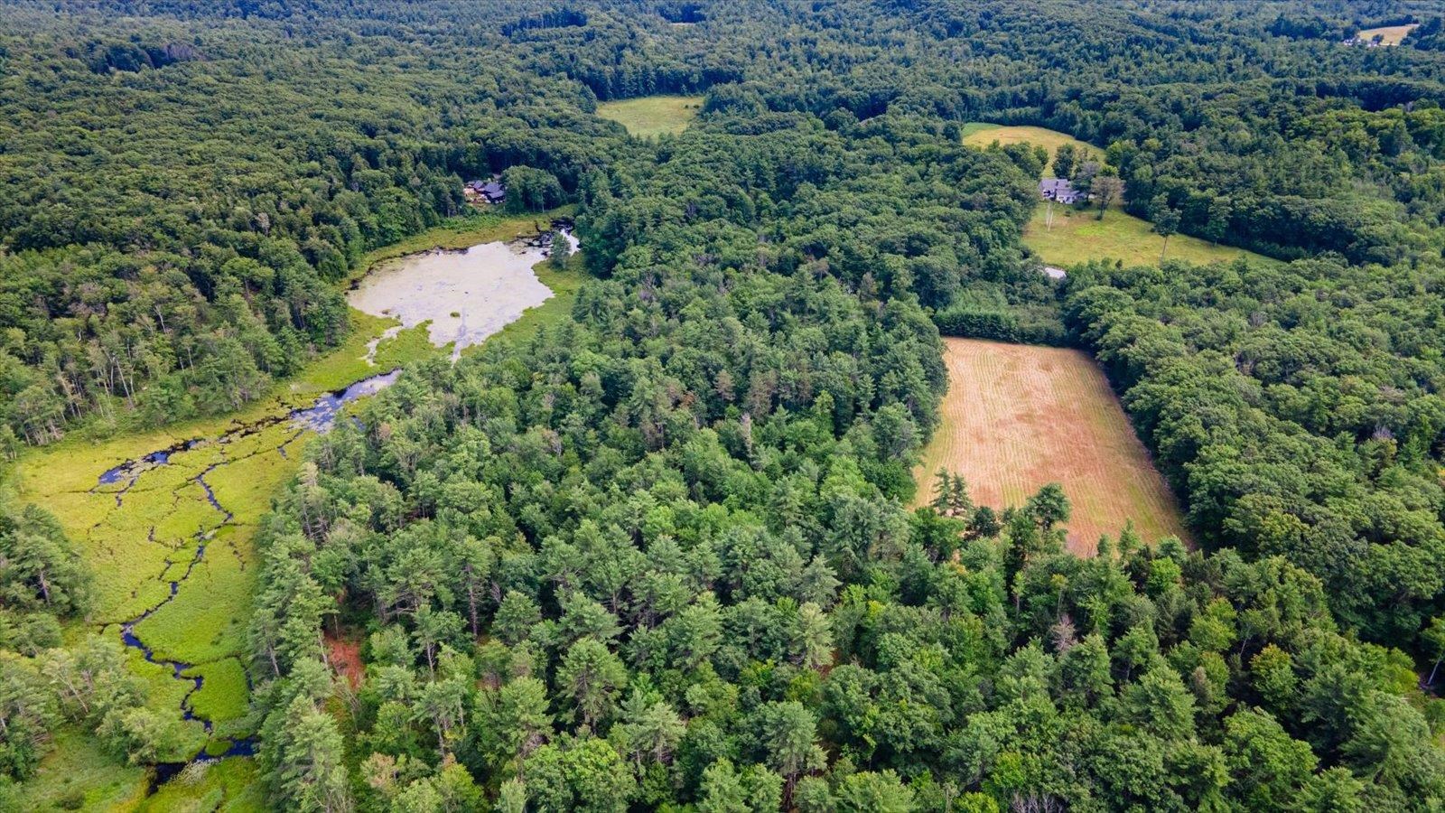 Land in Francestown 5
