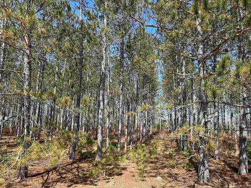 lot 4 Meadow Lane, Colfax Township, MI, 49683 | Card Image