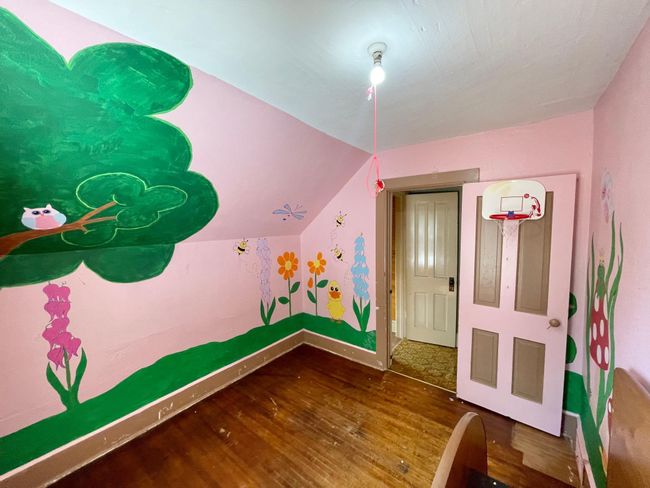 115 S Spring Ave, House other with 4 bedrooms, 1 bathrooms and null parking in Springfield MN | Image 37