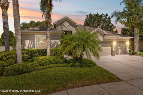 3243 Stonegate Falls Dr, Land O' Lakes, FL, 34638-6195 | Card Image
