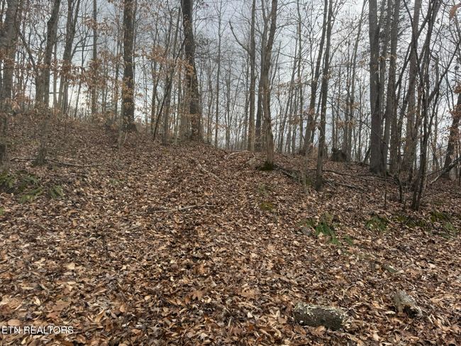 649 Garrett Town Ln, Home with 0 bedrooms, 0 bathrooms and null parking in Monroe TN | Image 17