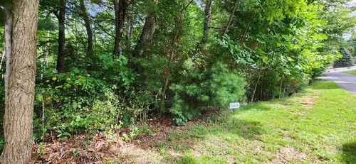 9-00000 Barebridge Dr, Burnsville, NC, 28714 | Card Image