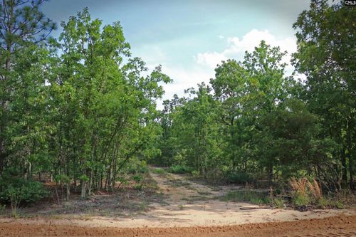 TBD Webbs Pond Rd, Williston, SC, 29853 | Card Image