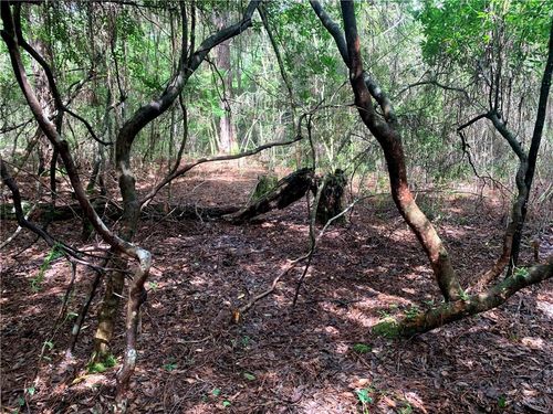 Lot 23 Five Acre Farms, Mandeville, LA, 70471 | Card Image