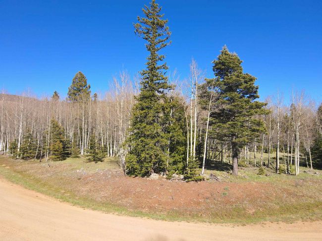 2 Acres Off Quail Ridge, Home with 0 bedrooms, 0 bathrooms and null parking in Angel Fire NM | Image 14