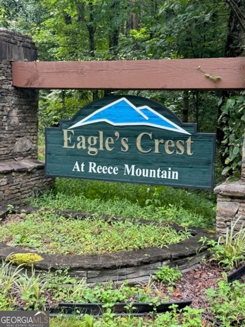 LTS 43 & 44 Reece Mountain Rd, Ellijay, GA, 30536 | Card Image