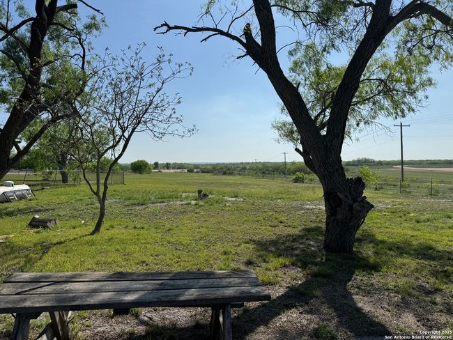 country view | Image 14