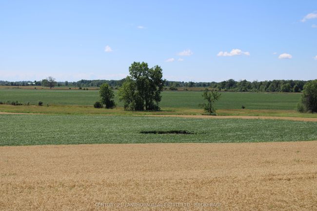 LT15-16 County 1 Road W, Home with 0 bedrooms, 0 bathrooms and null parking in Greater Napanee ON | Image 4