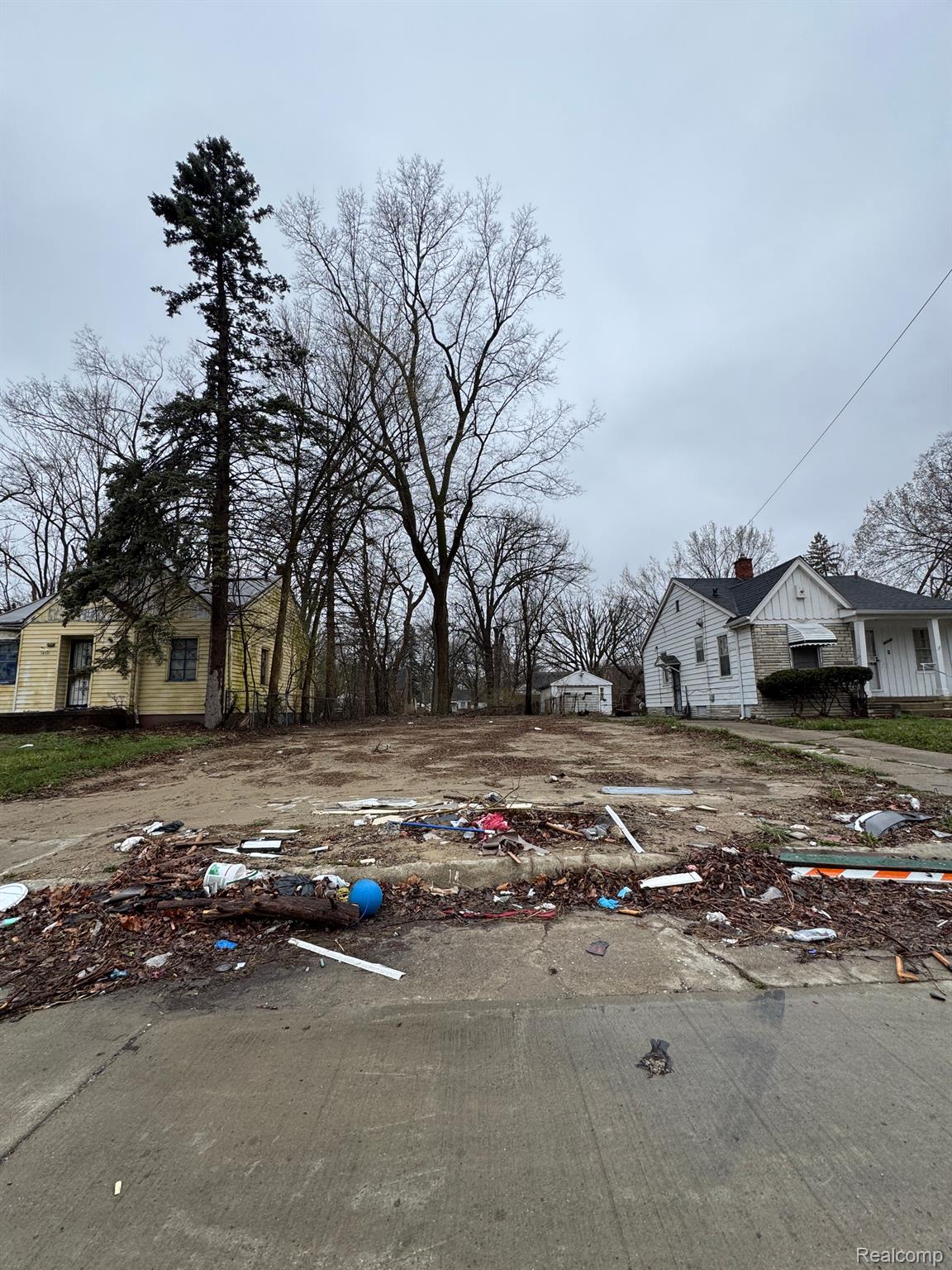 Land in Detroit